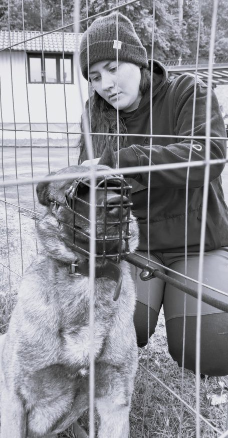Maulkorbtraining Malinois Eine Person in einem Käfig mit einem Hund, der einen Maulkorb trägt.