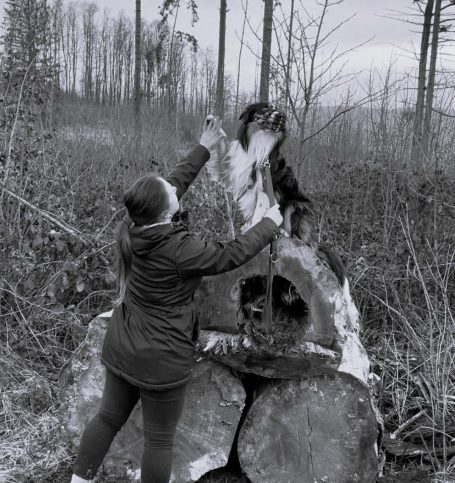 Maulkorbtraining im Wald Frau hebt einen Hund auf einen Holzstamm in einer bewaldeten Umgebung.